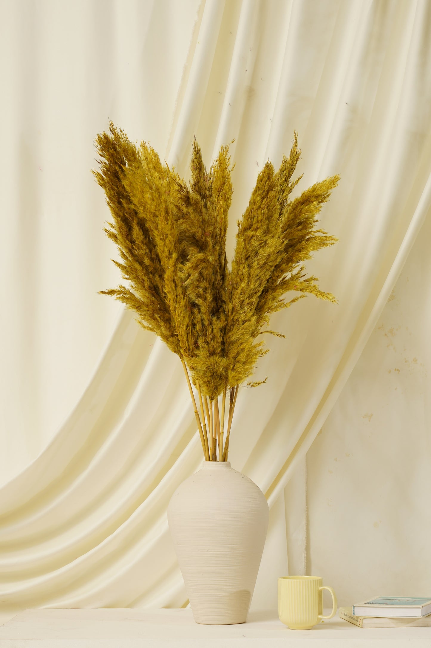 Fluffy Pampas 10 Stems