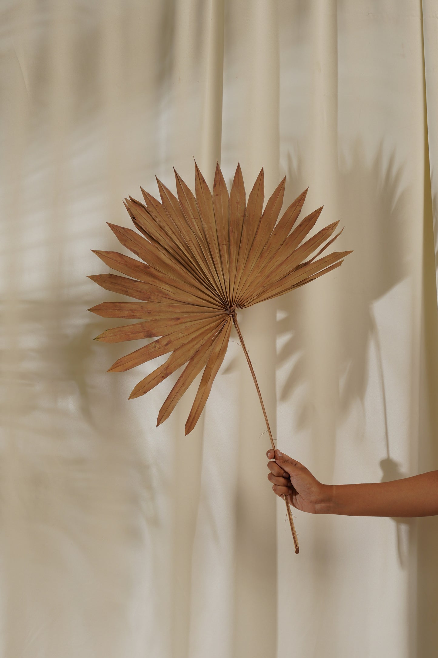 Sun Spear Small (SET OF 5)