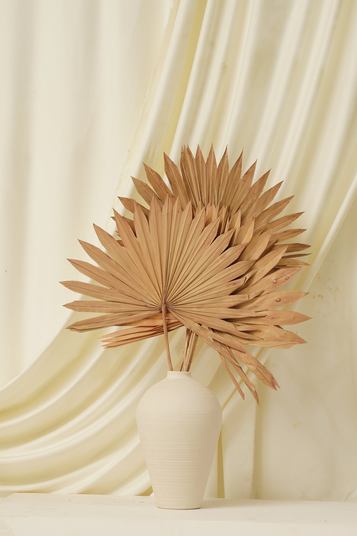 Sun Spear Small (SET OF 5)