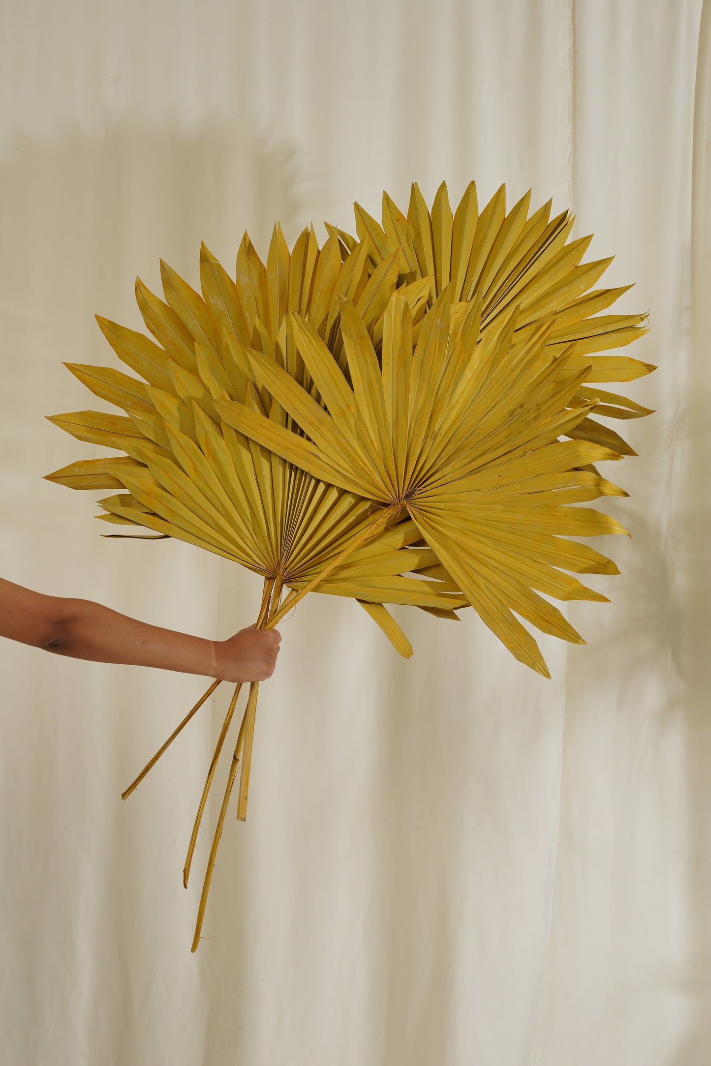 Sun Spear Small (SET OF 5)