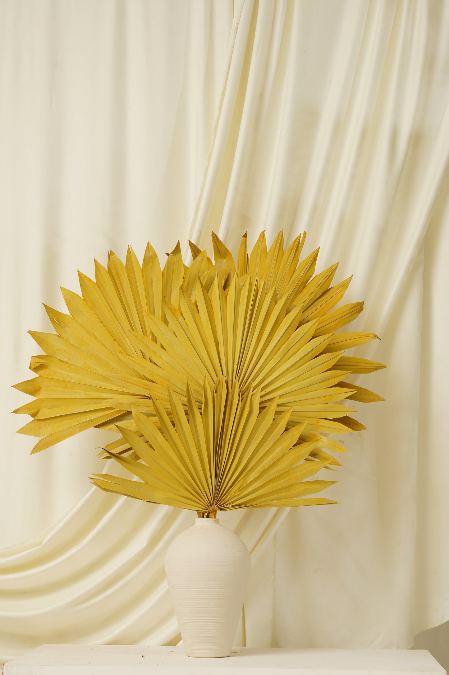 Sun Spear Small (SET OF 5)