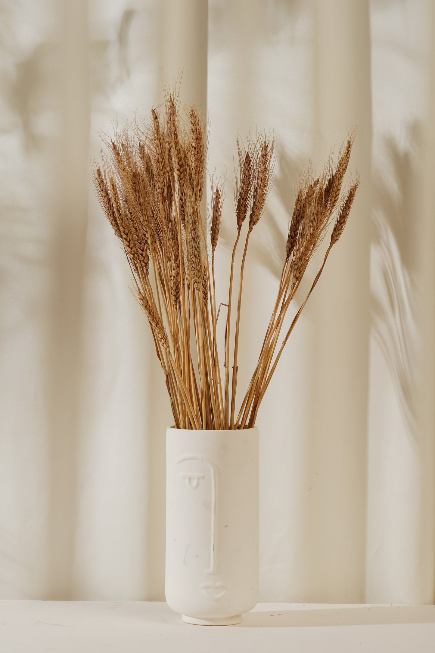 Dried Wheat Grass Stems