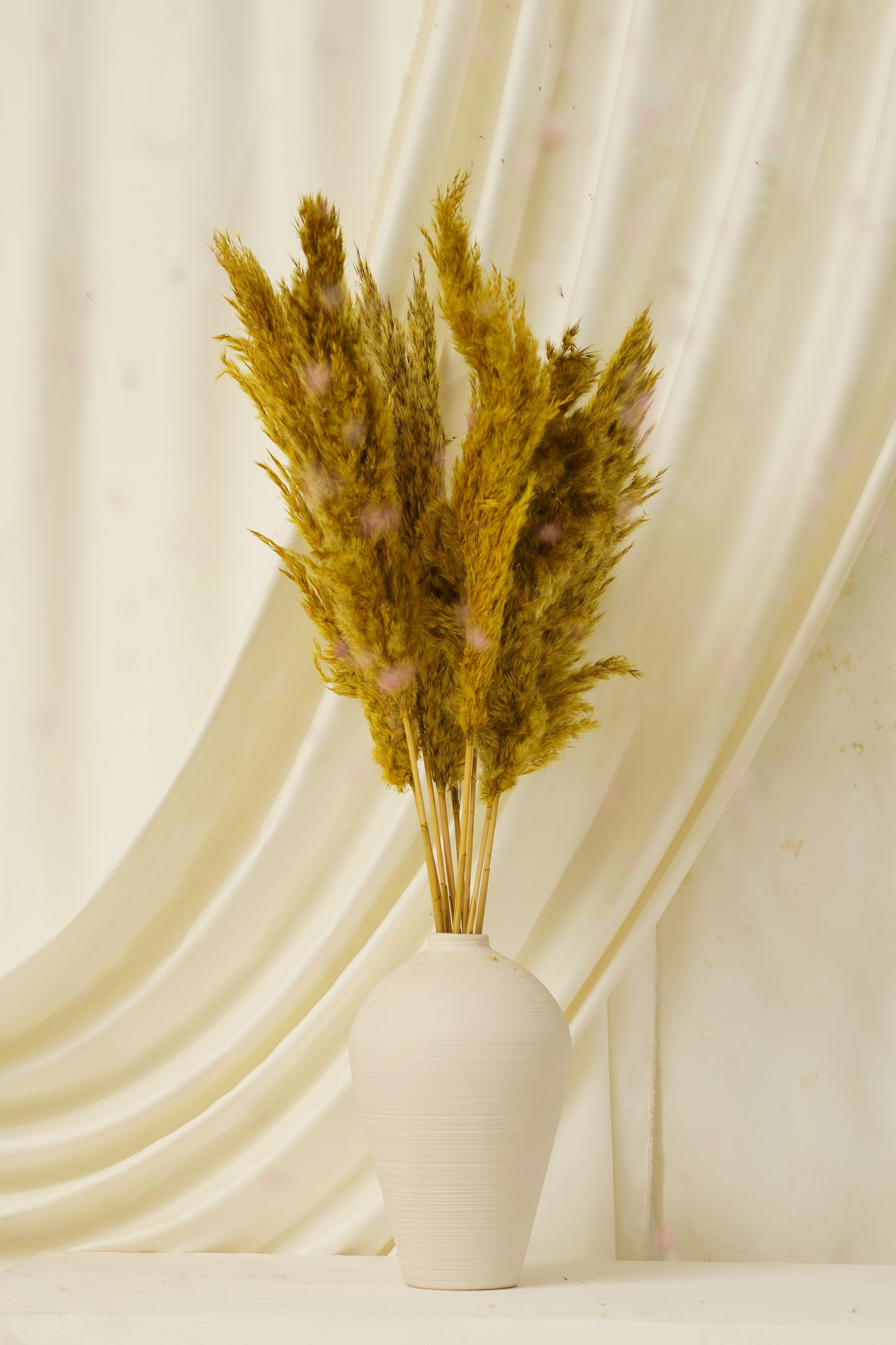 Fluffy Pampas 10 Stems