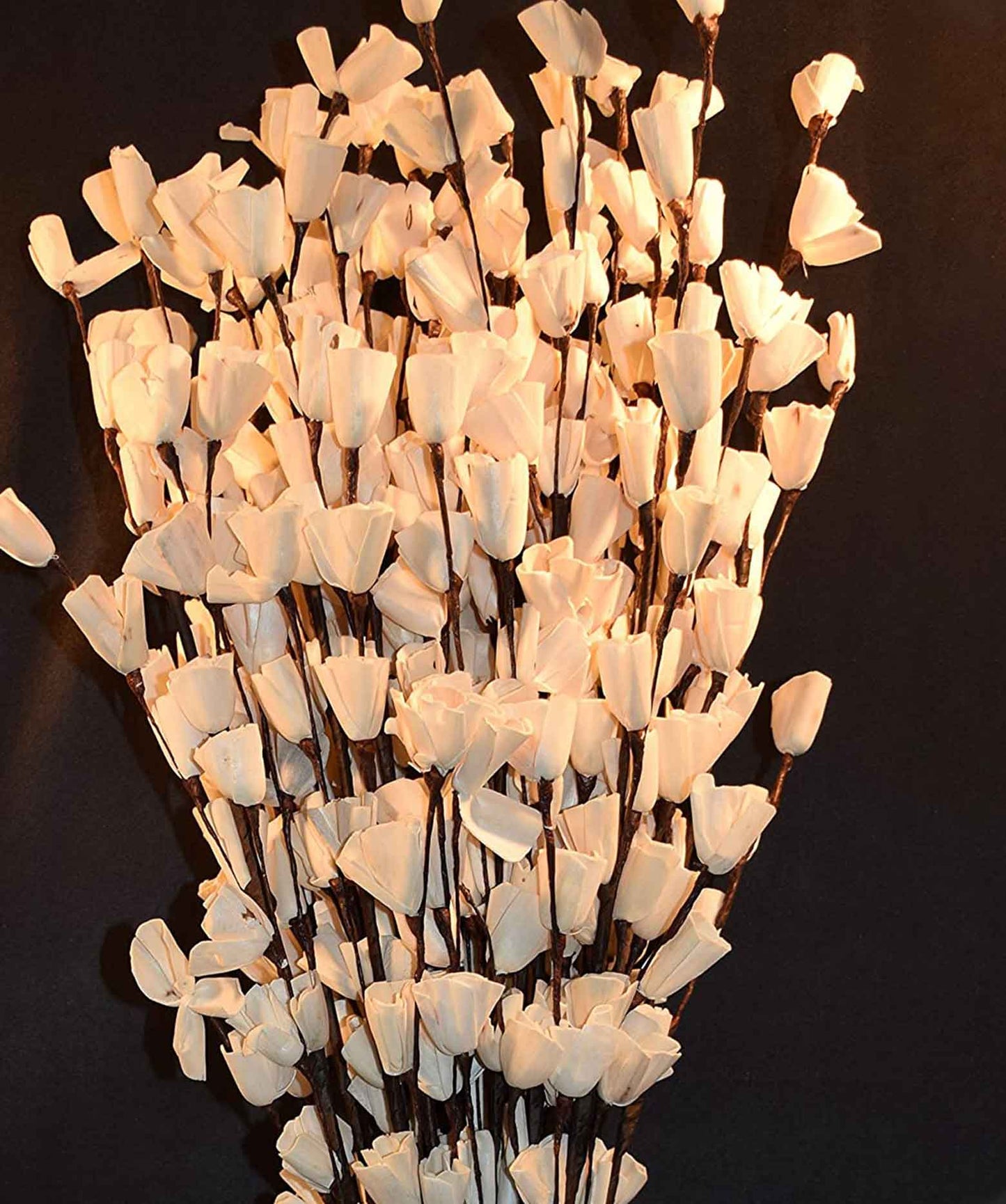 Lily Natural Dried Flower Pack of 5 Sticks