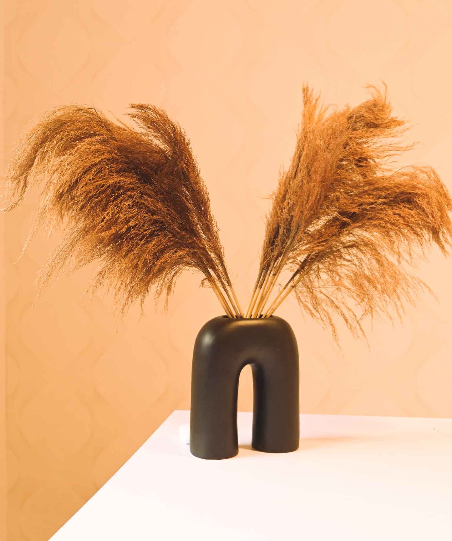 White and Brown Dried Pampas Pack of 10 Stems