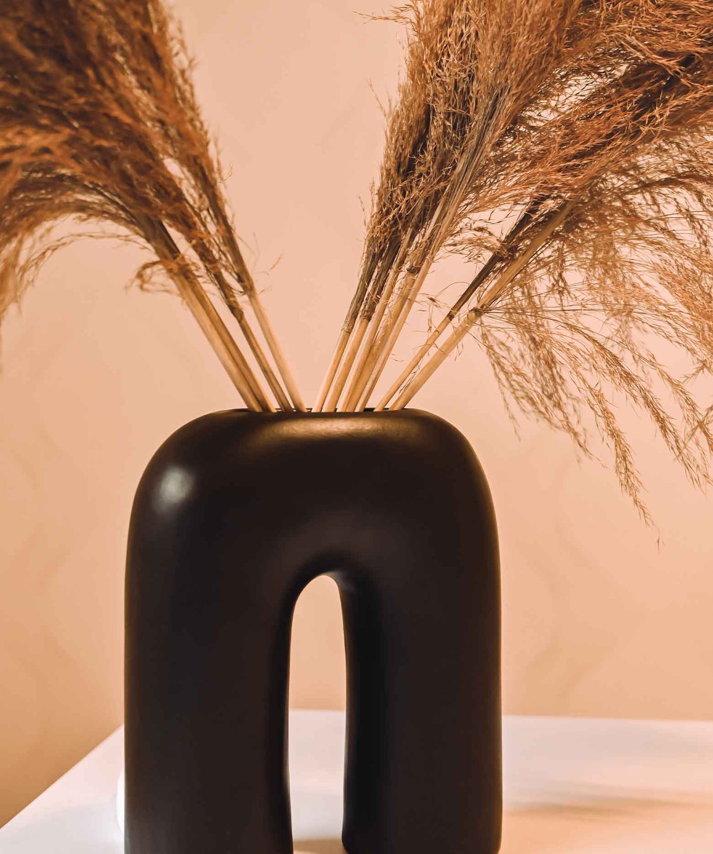 White and Brown Dried Pampas Pack of 10 Stems