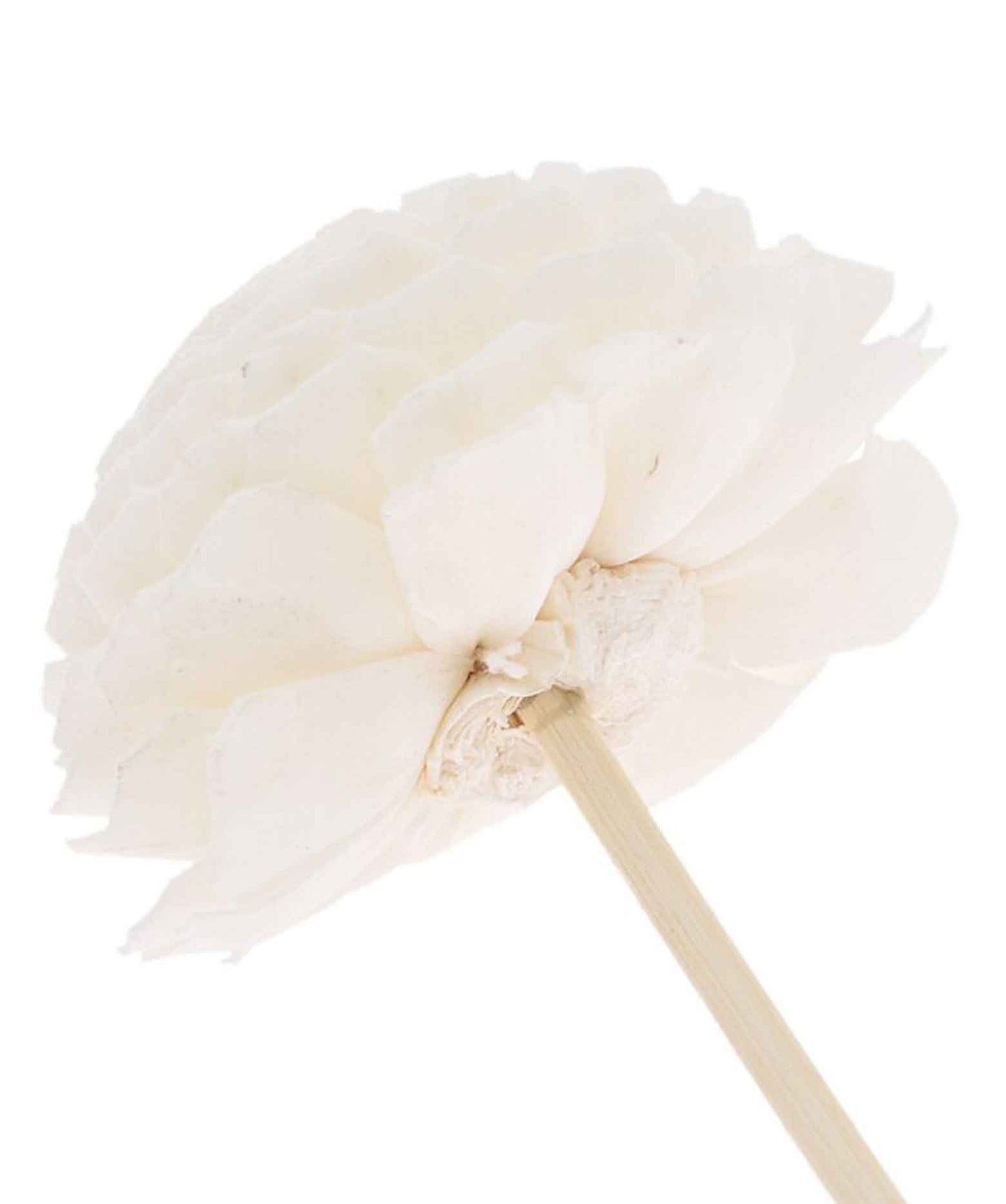 Flower Rattan Reed Diffuser Sticks Pack of 20