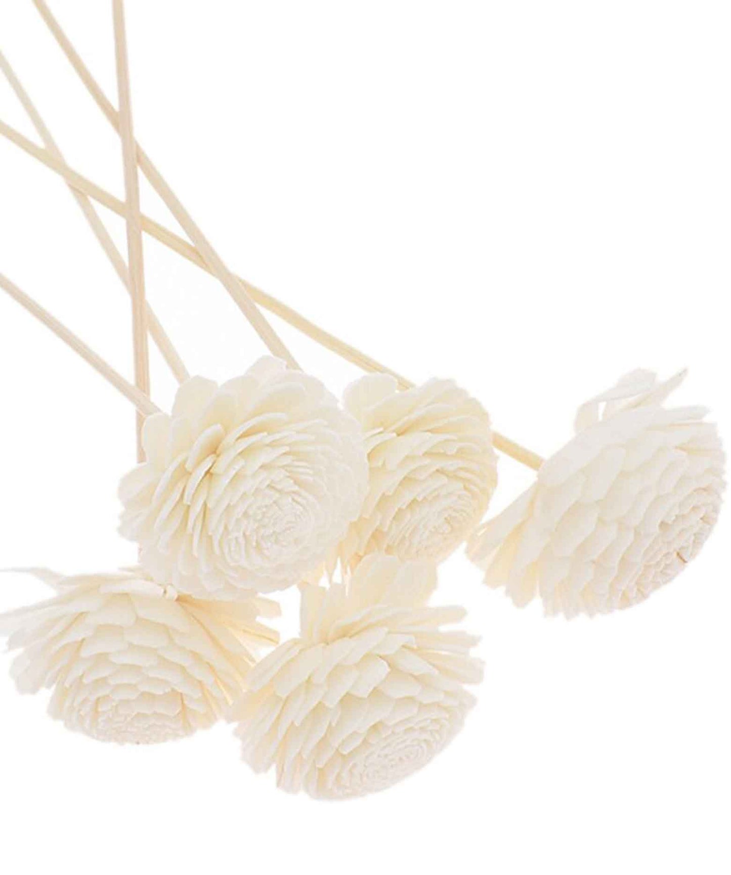 Flower Rattan Reed Diffuser Sticks Pack of 5