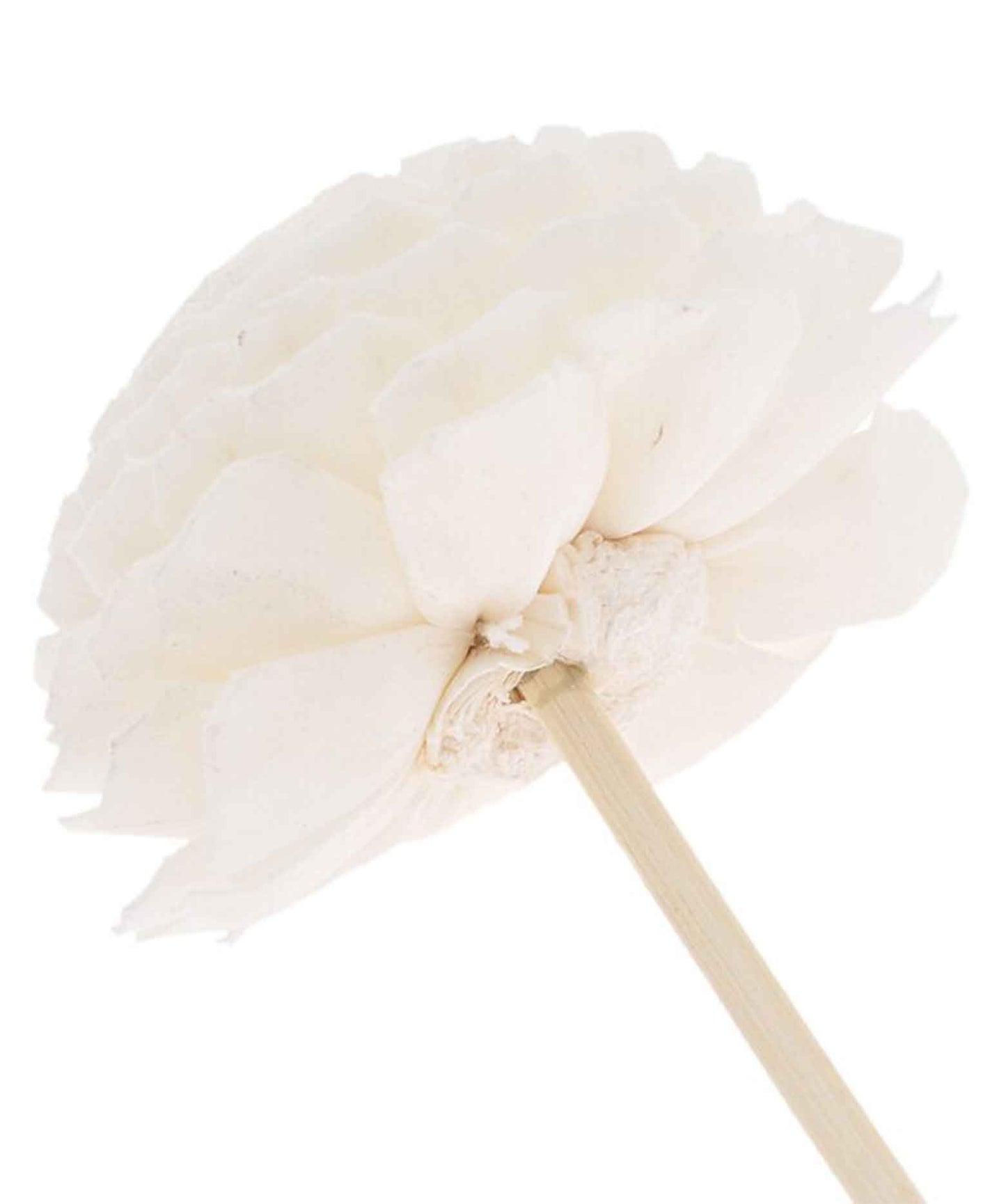 Flower Rattan Reed Diffuser Sticks Pack of 5