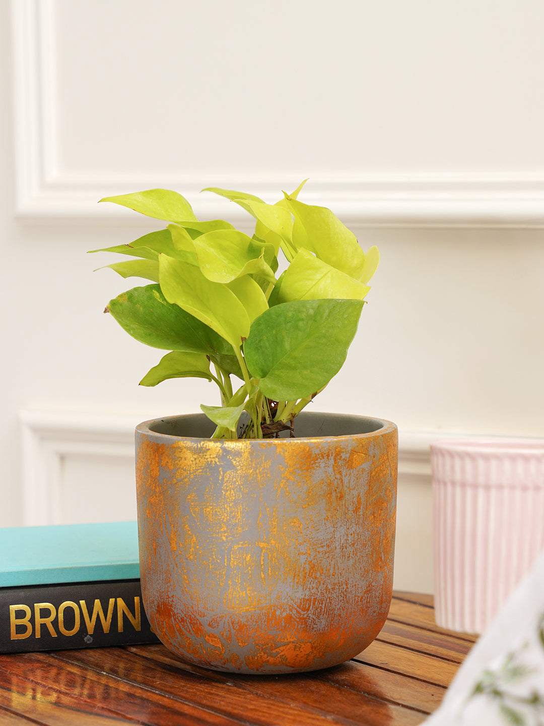 Century Gold Planter