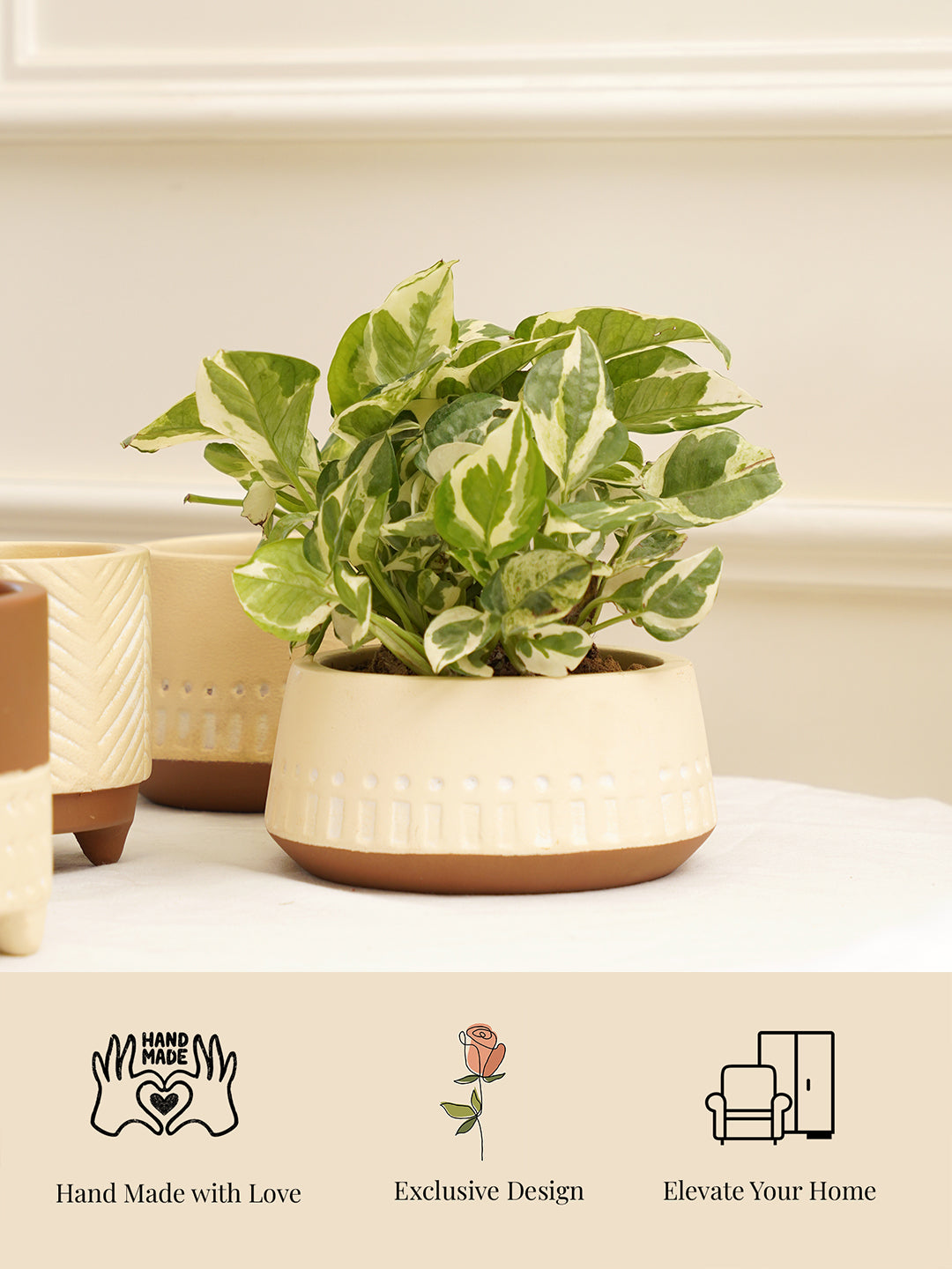Gardenia Planter