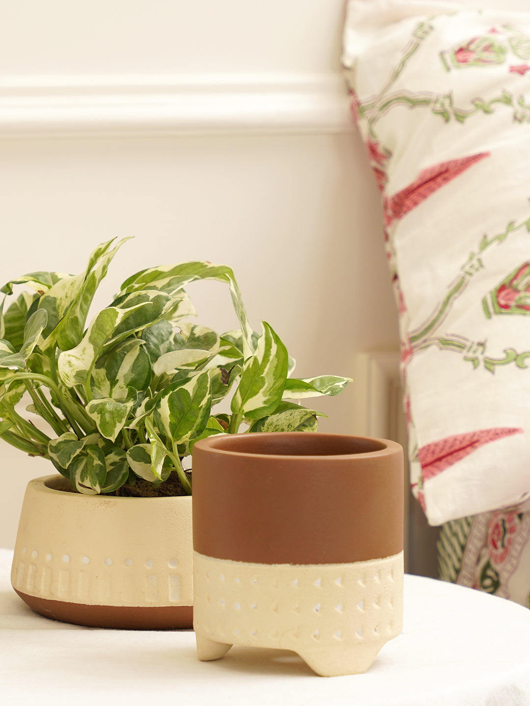 Gardenia Planter