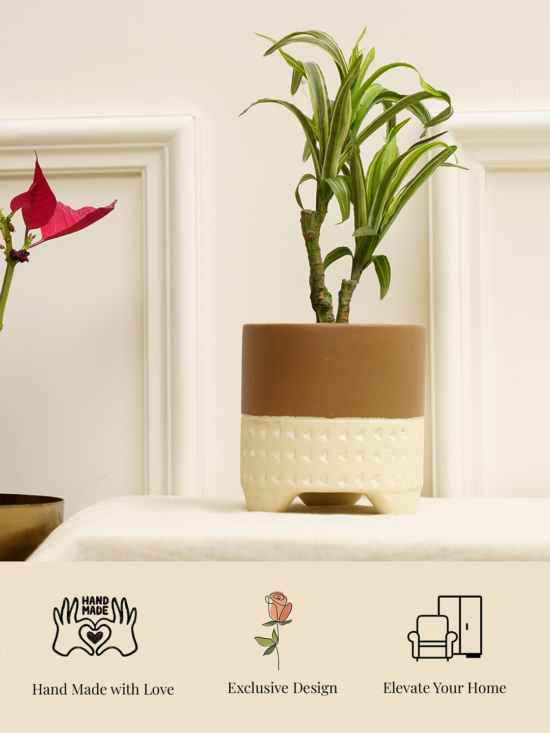 Gardenia Planter