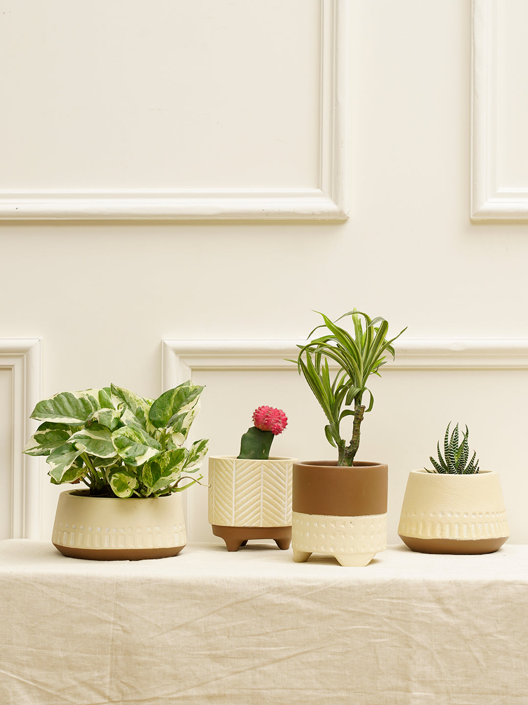 Gardenia Planter