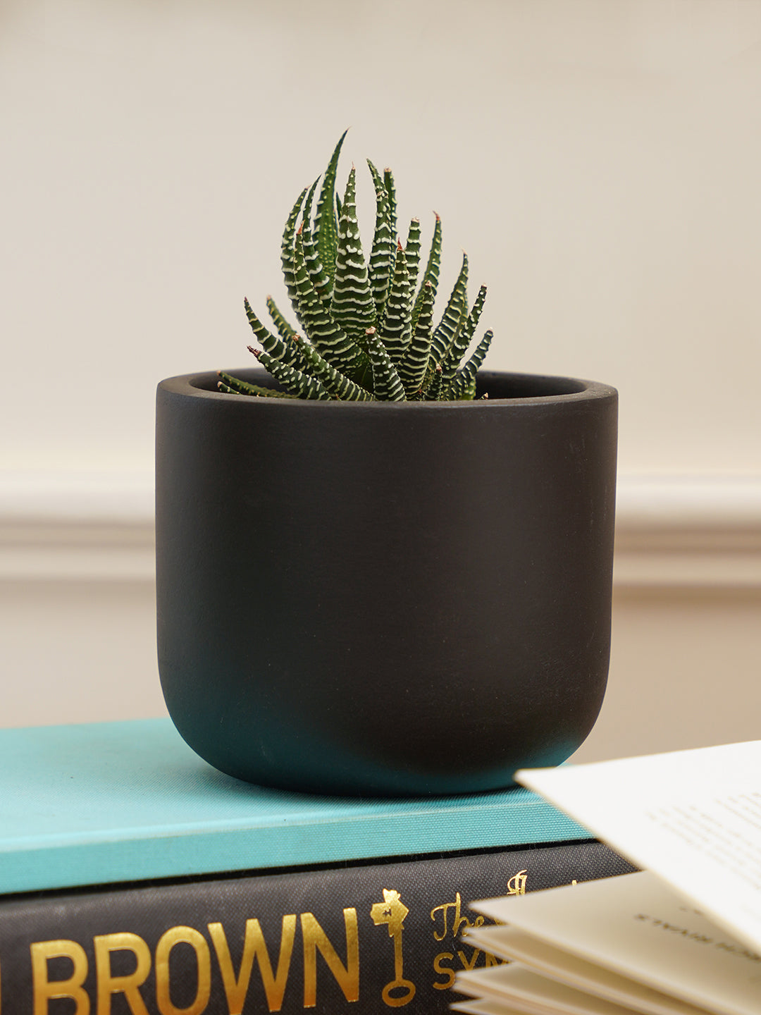 Jeanie Planter