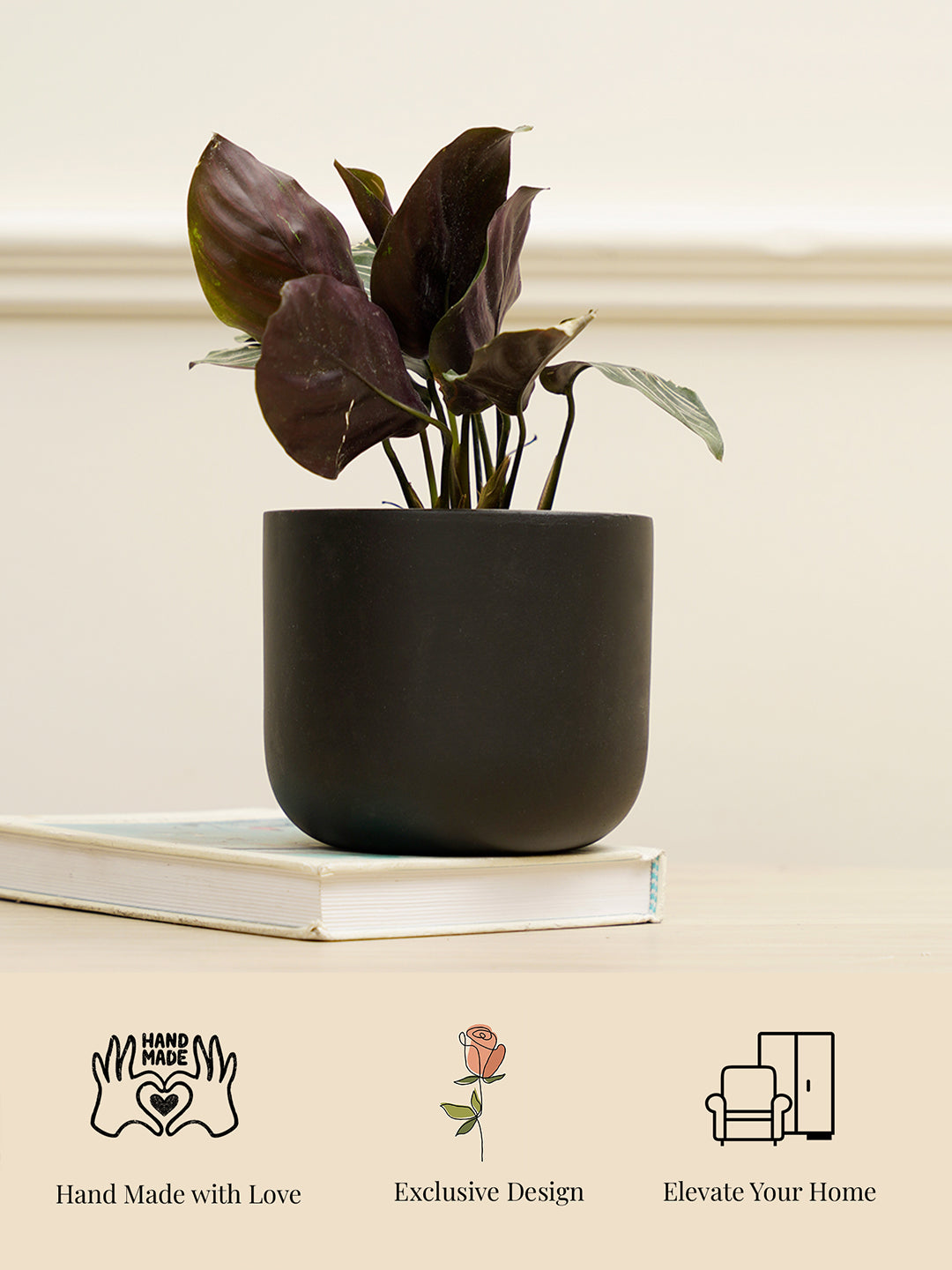 Jeanie Planter