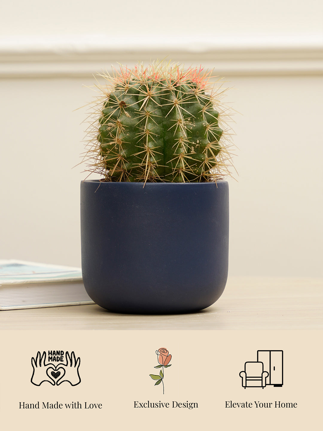 Jeanie Planter