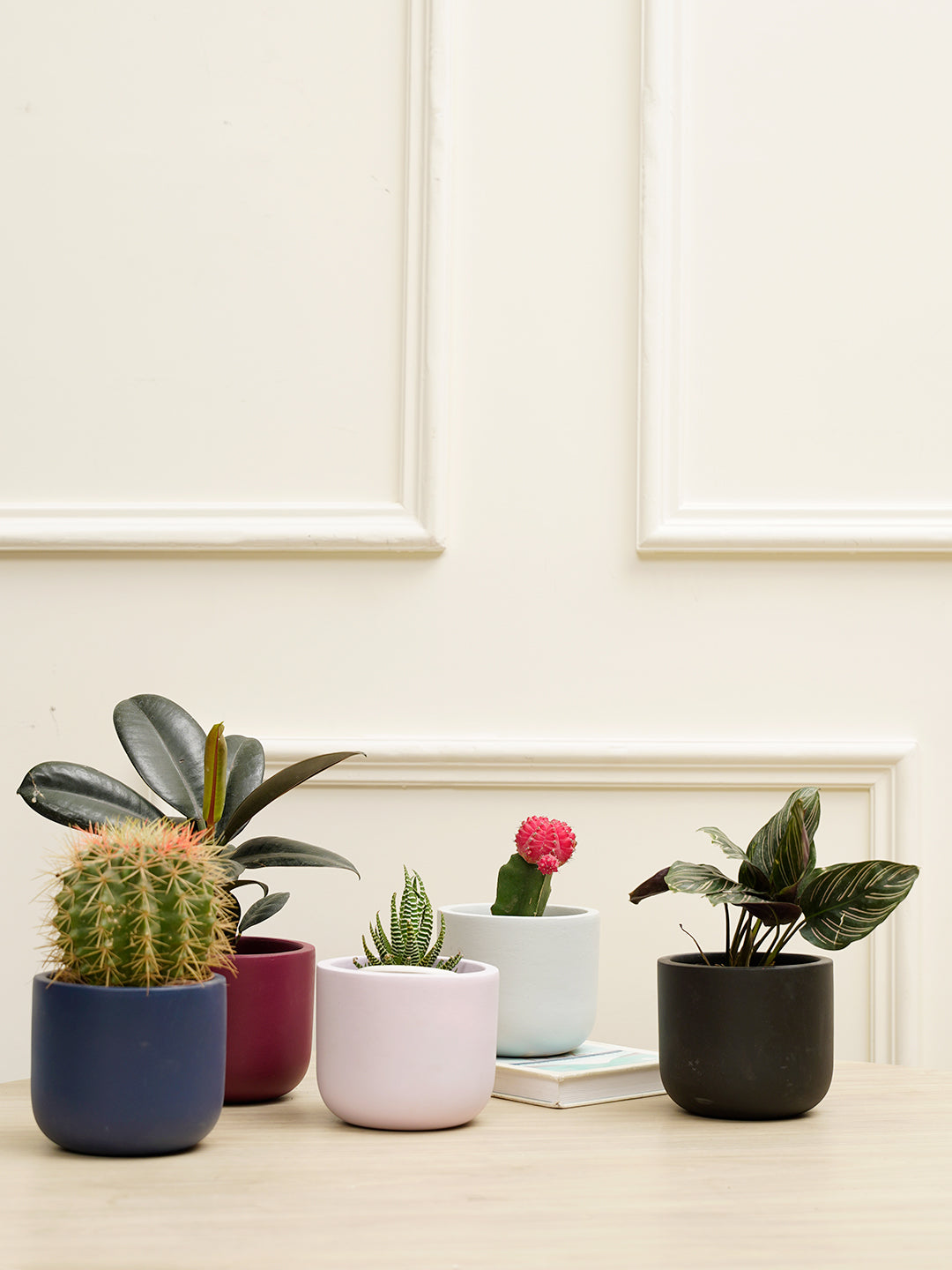 Jeanie Combo Planter