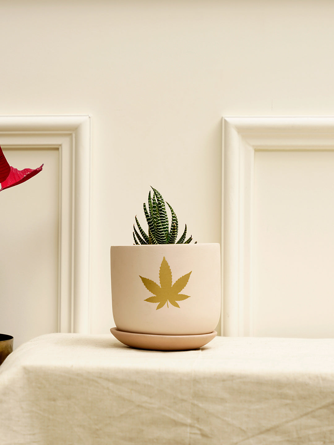 Jeanie Planter