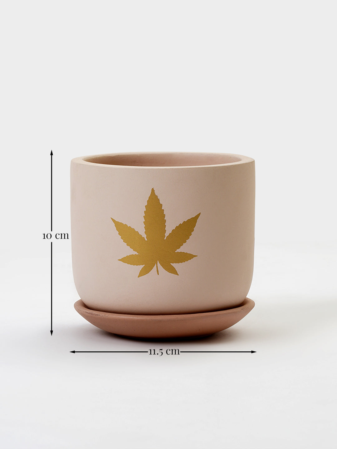 Jeanie Planter