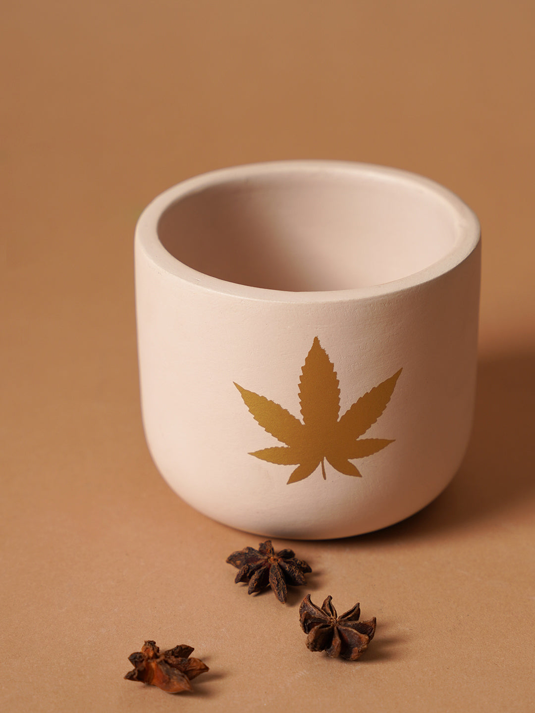 Jeanie Planter