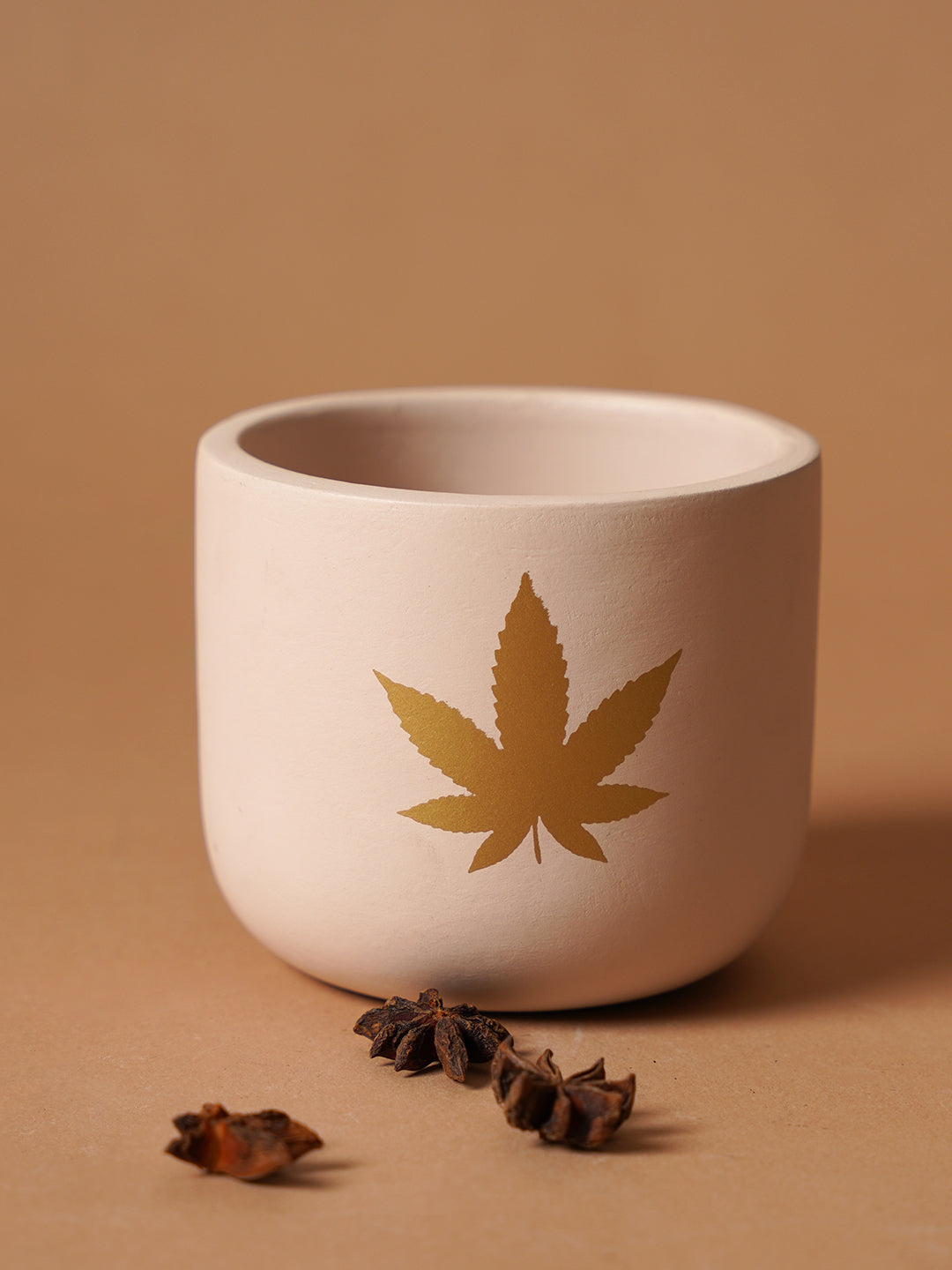 Jeanie Planter