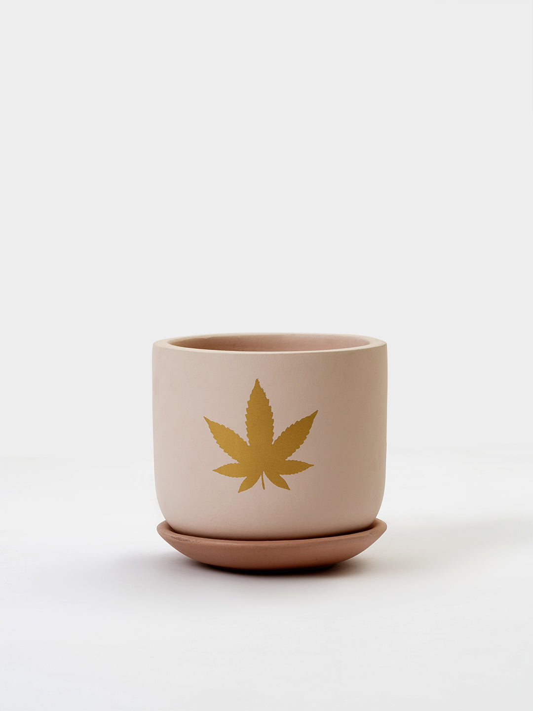 Jeanie Planter