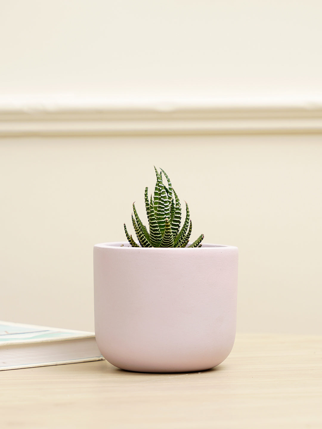 Jeanie Planter