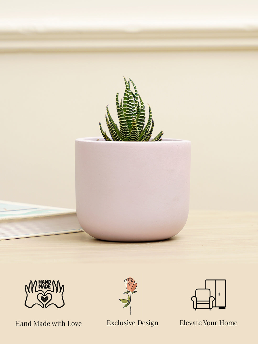 Jeanie Planter