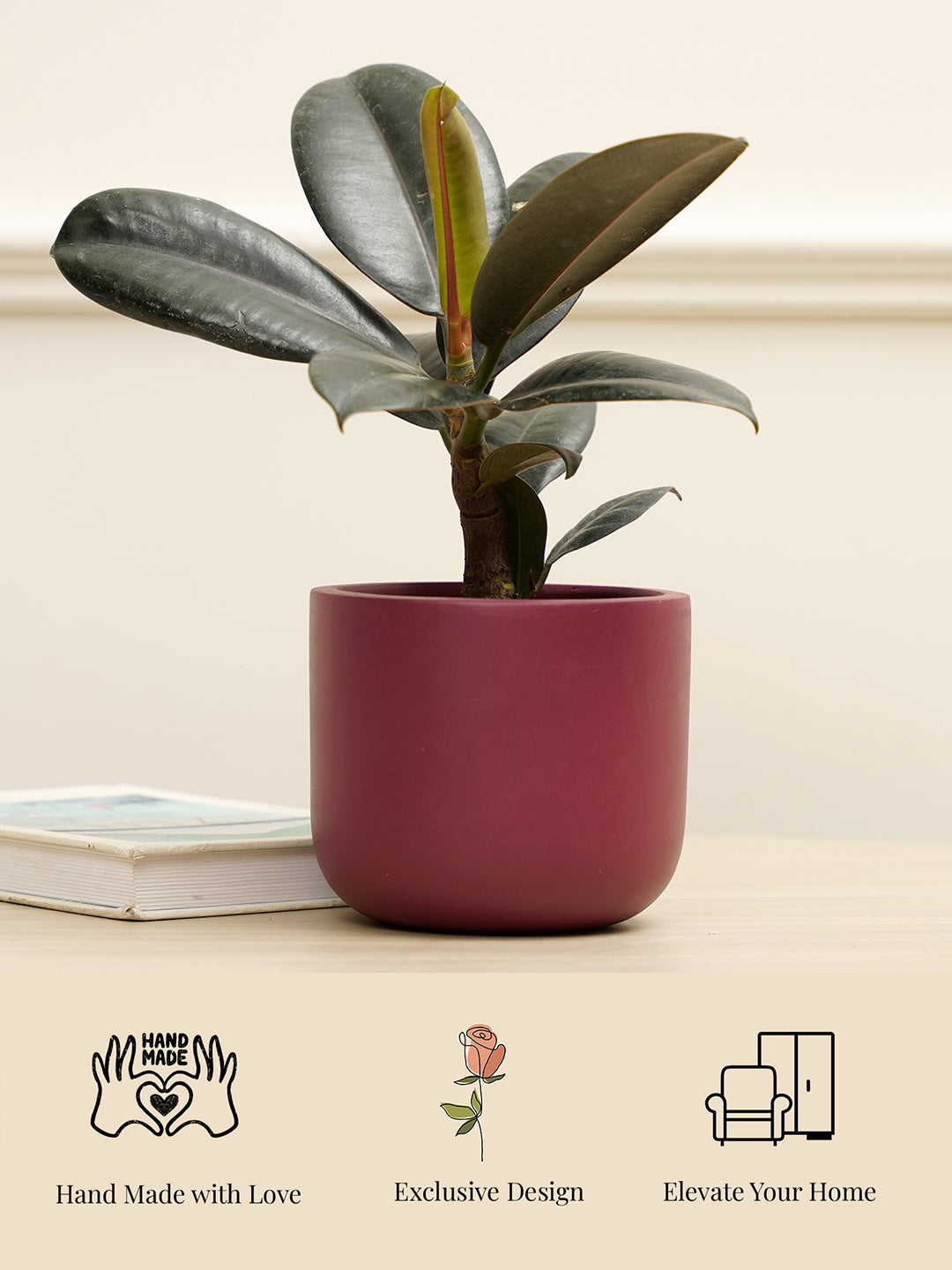 Jeanie Planter