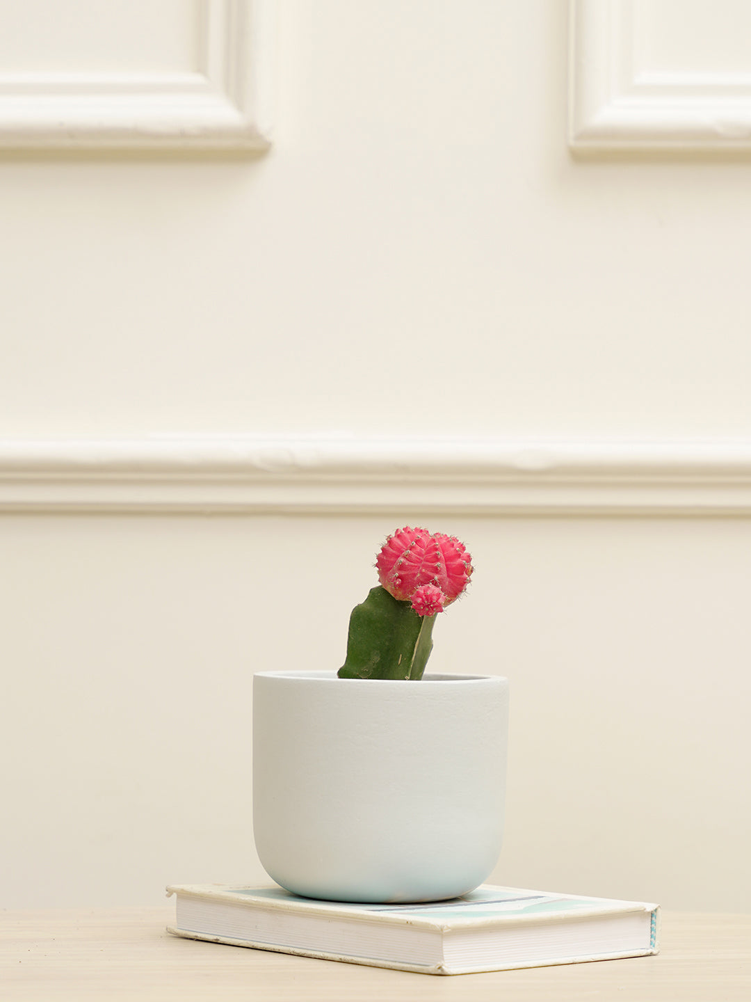 Jeanie Planter