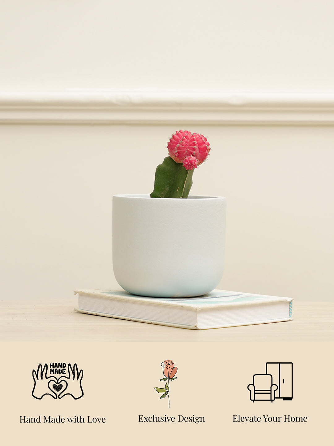 Jeanie Planter