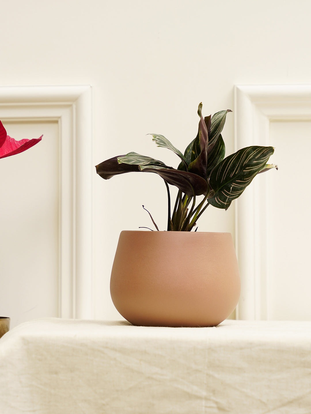 Mesa Planter