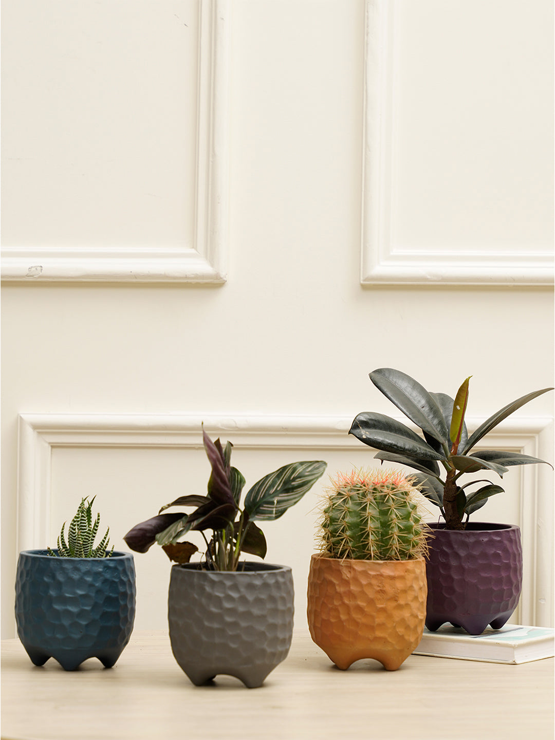 Pebble Combo Planter