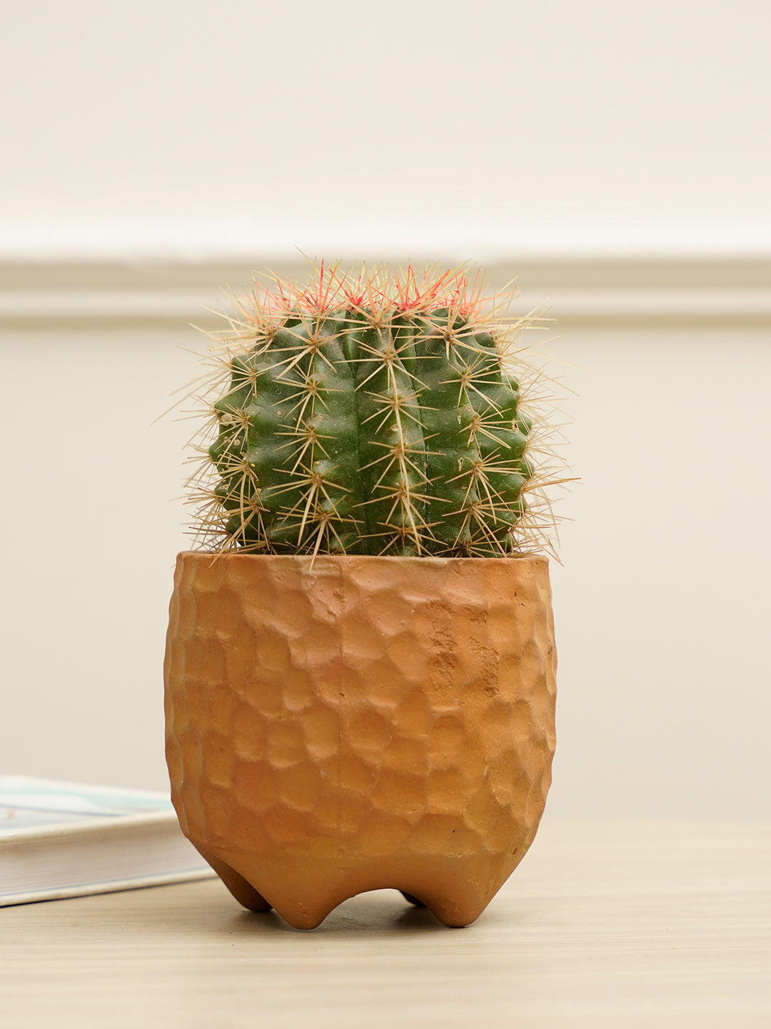 Pebble Planter