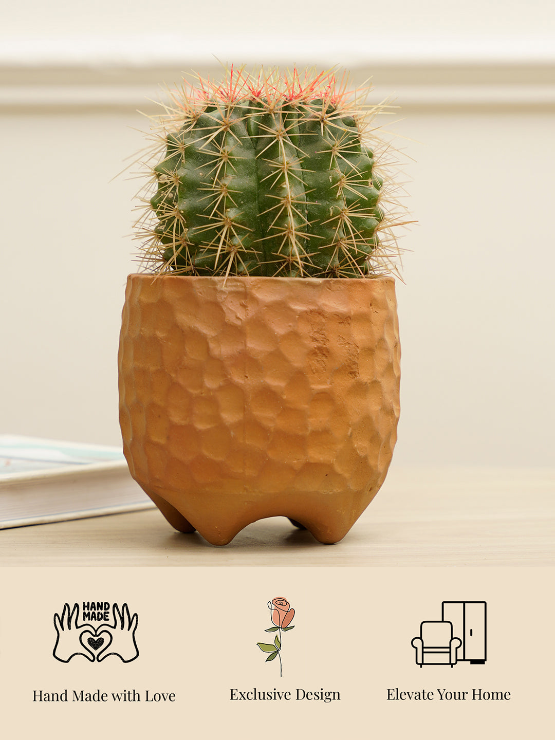 Pebble Planter