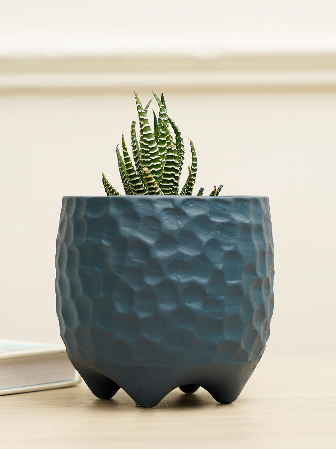 Pebble Planter