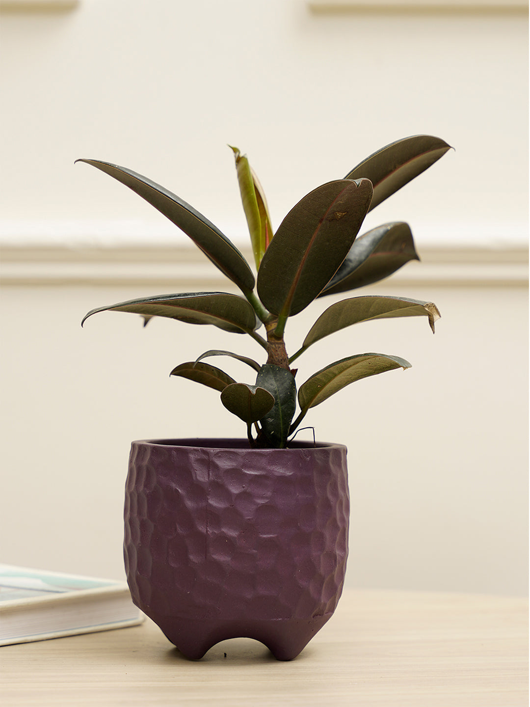 Pebble Planter