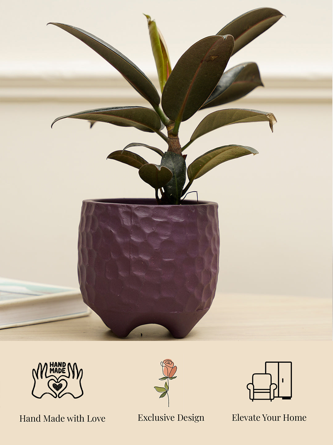 Pebble Planter