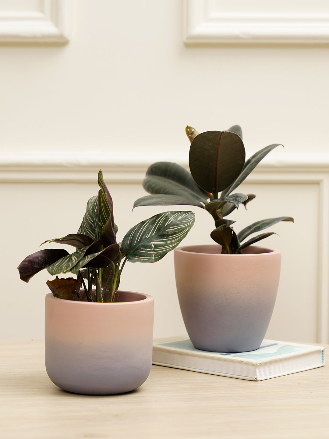 Smoky Combo Planter