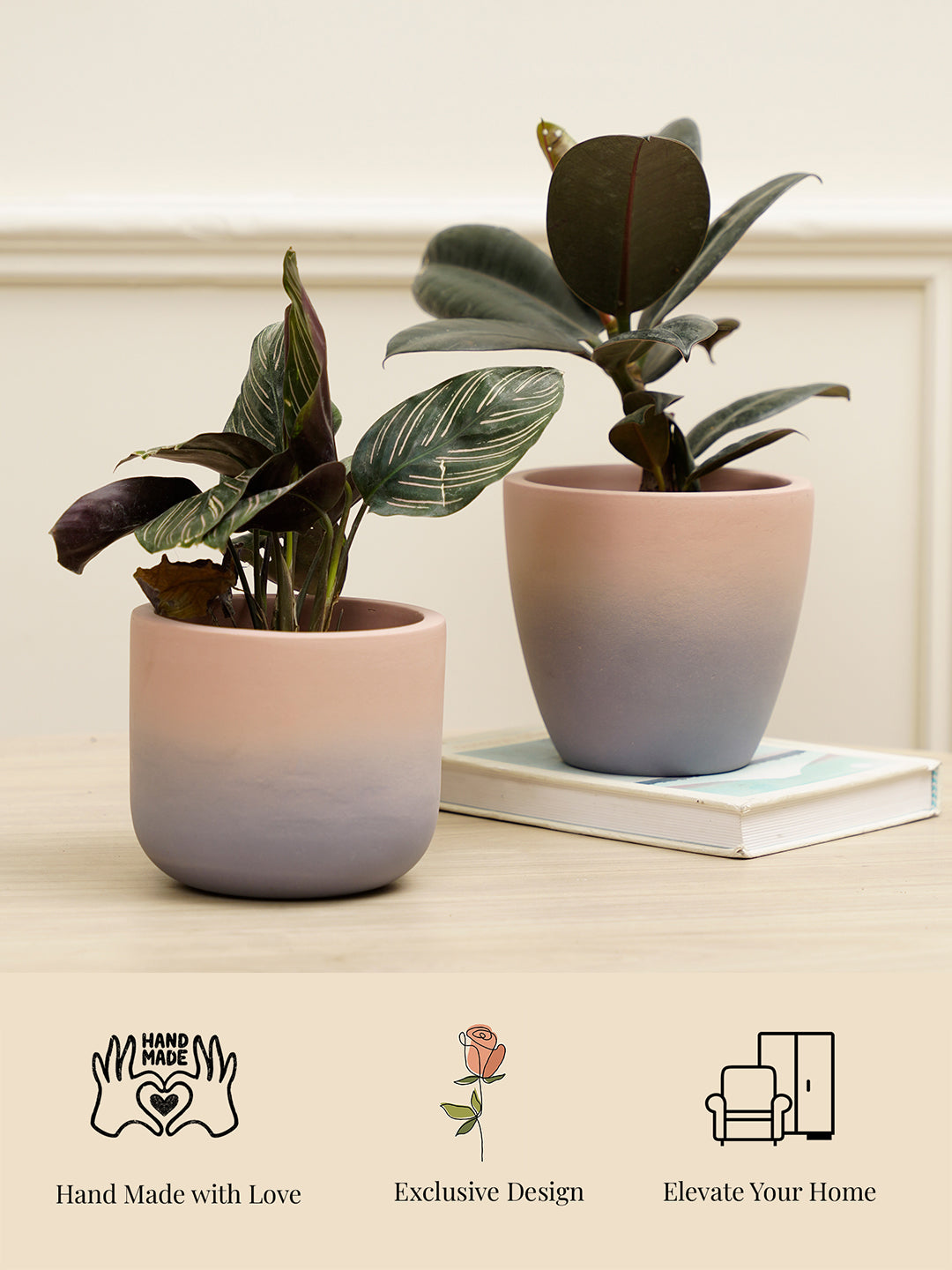 Smoky Combo Planter