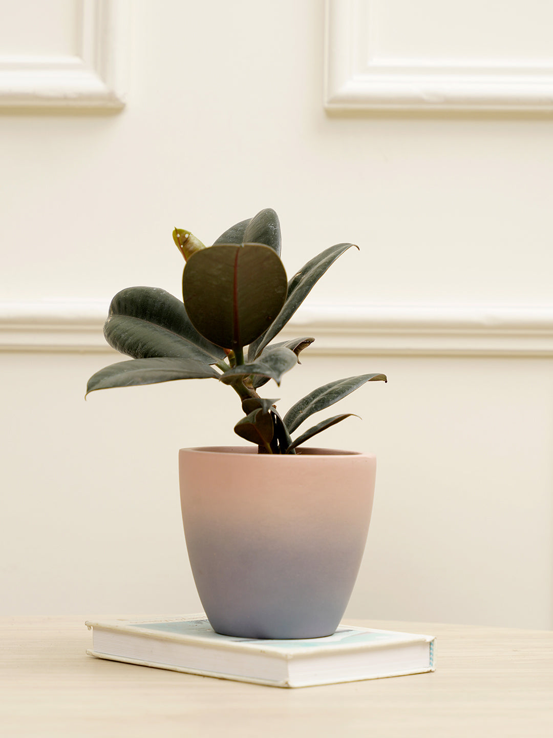 Smoky Planter