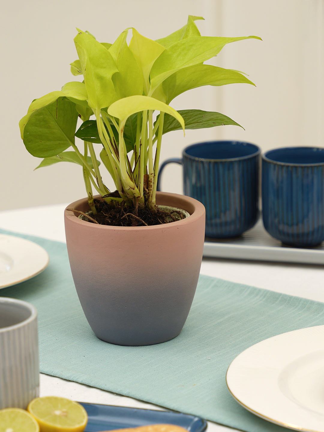 Smoky Planter