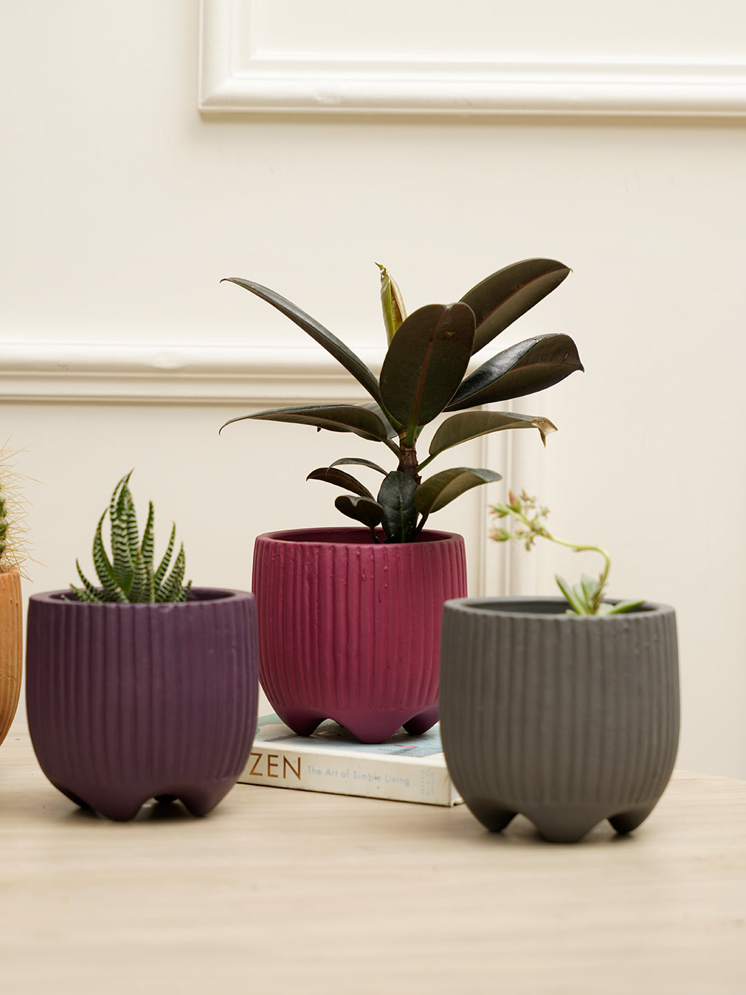 Sunbeam Combo Planter