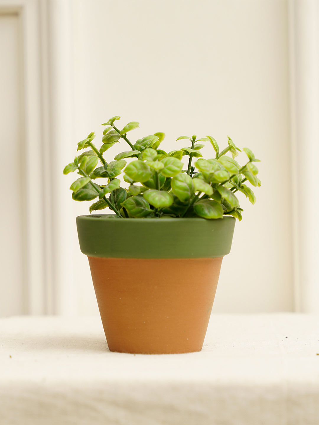 Tiny Planter