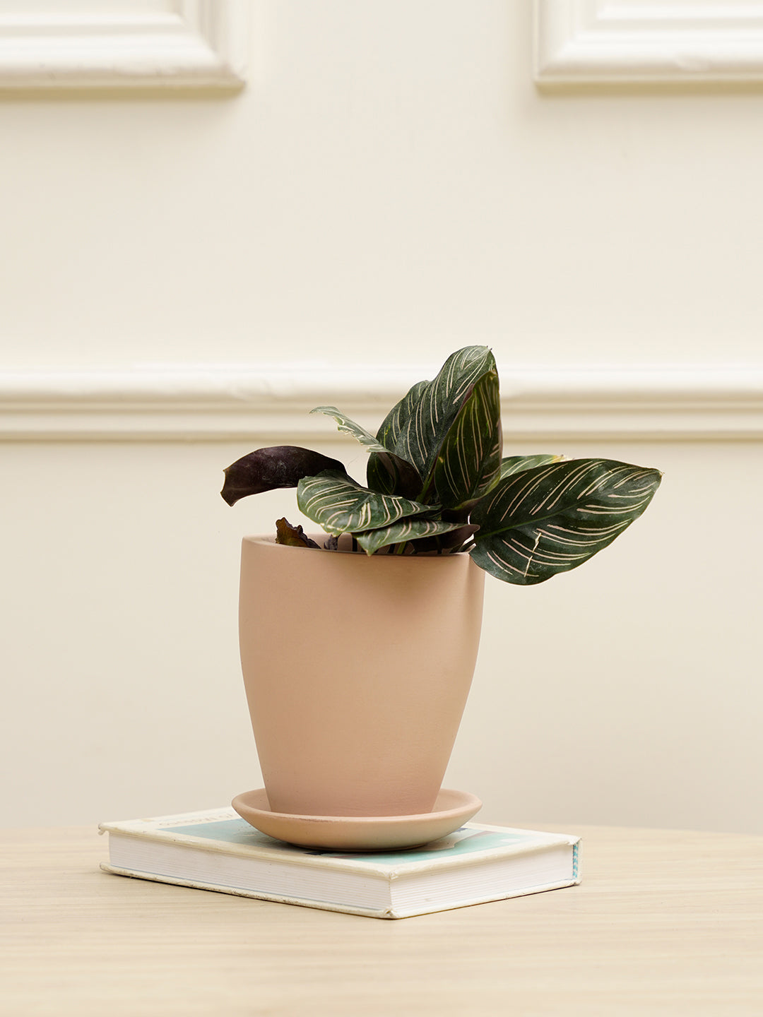 Vespa Planter
