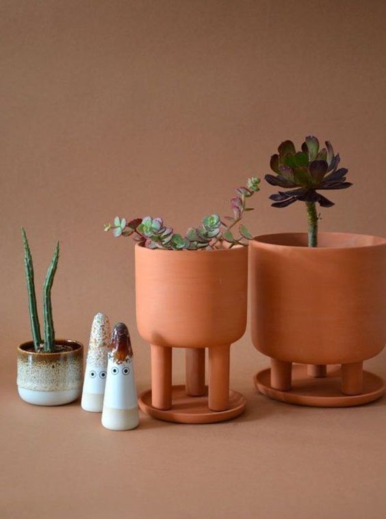 Live Plants