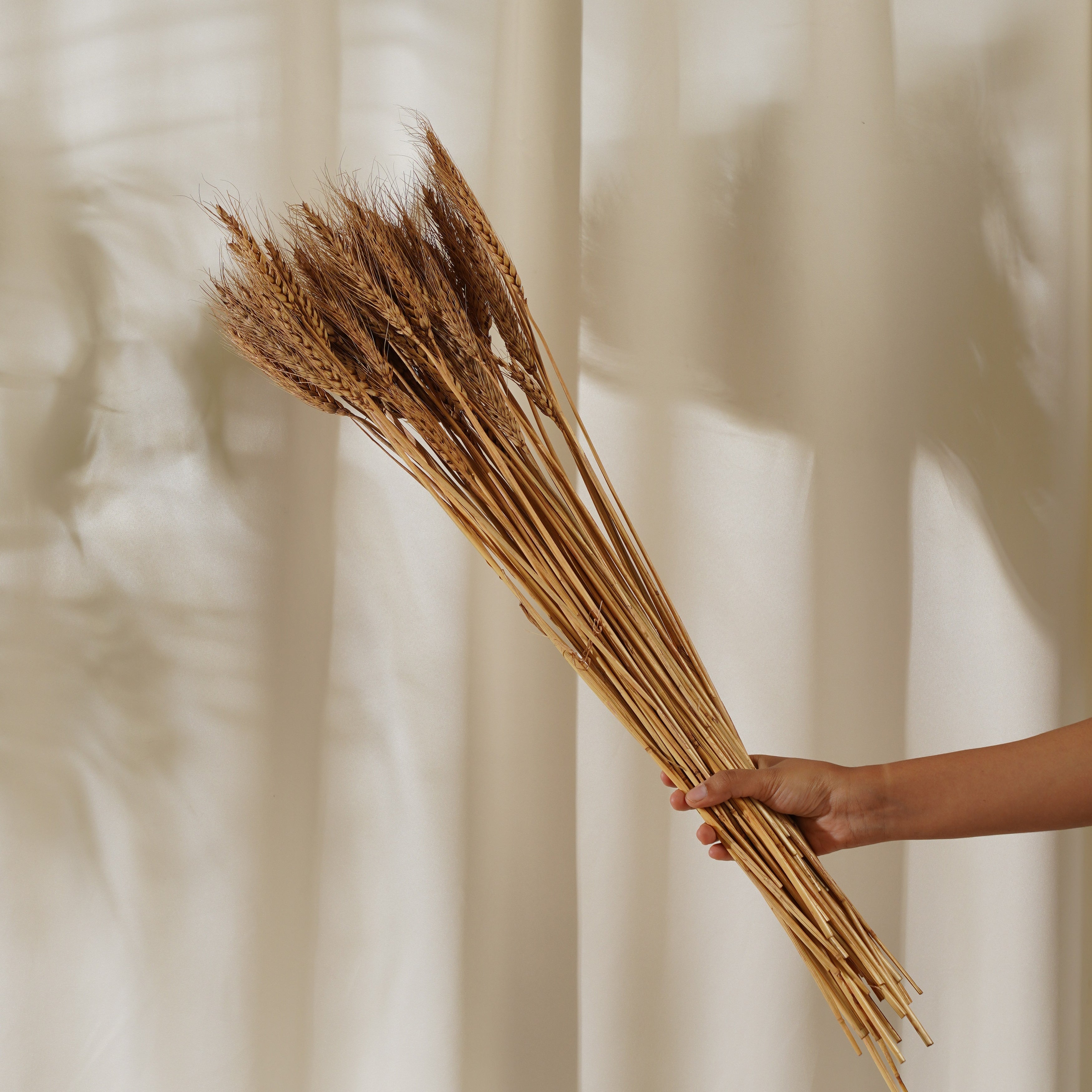 Dried Flowers