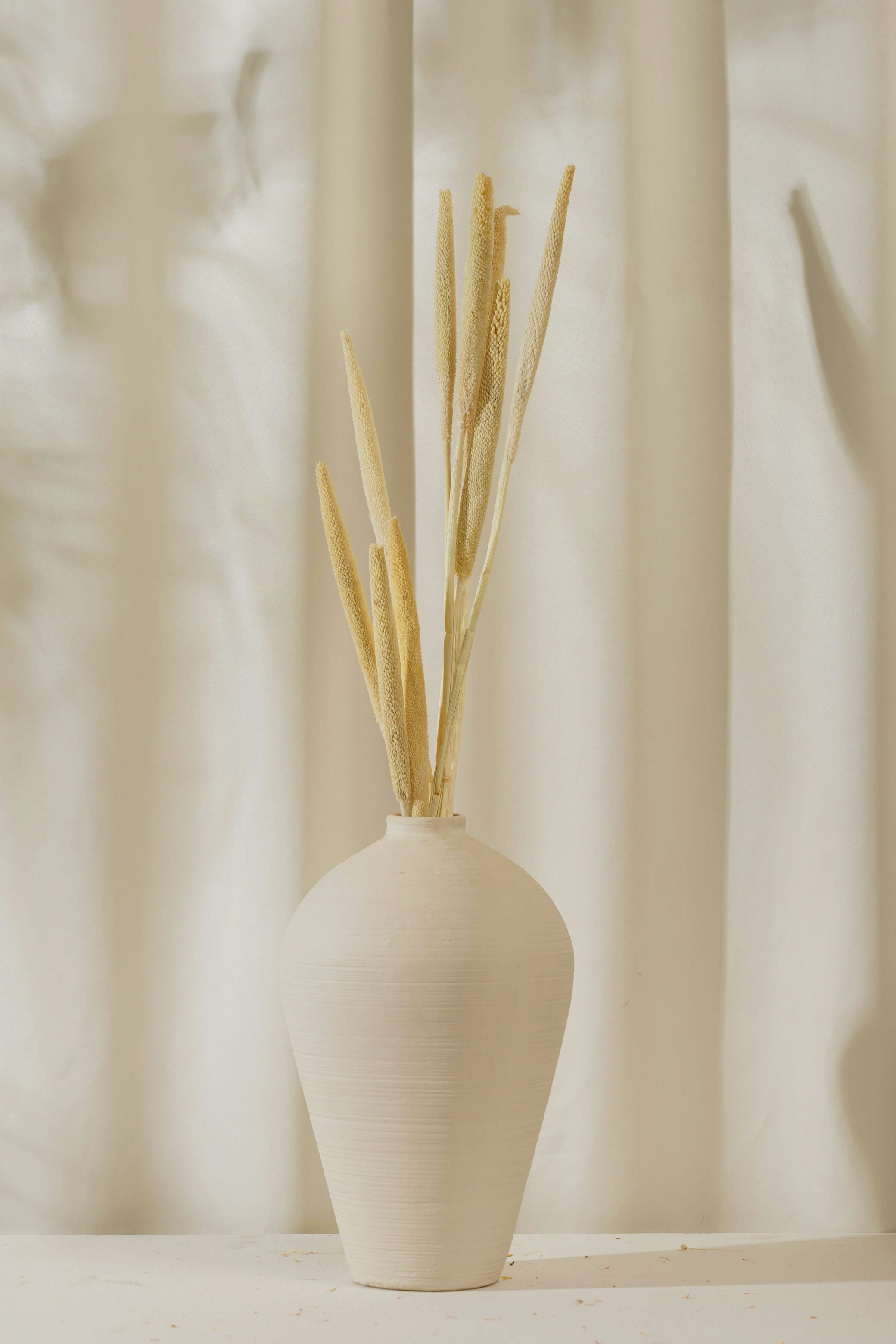 Dried Flowers – Purezento