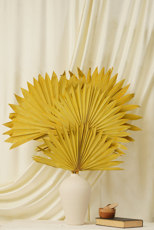 Sun Spear Small (SET OF 5)